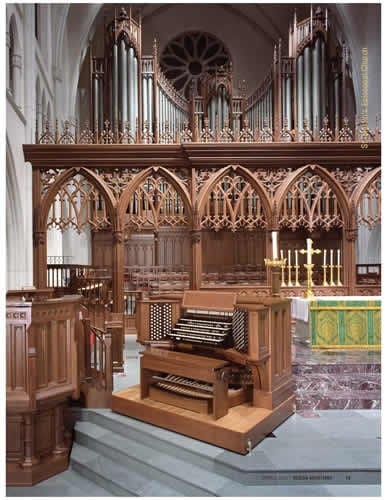 organ