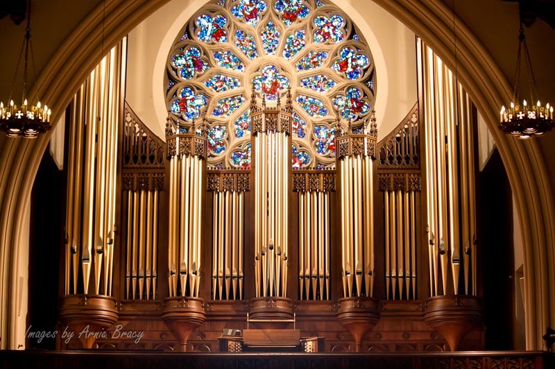 Organ Case