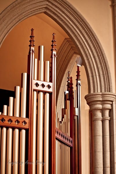 Left Side Sanctuary Organ Case